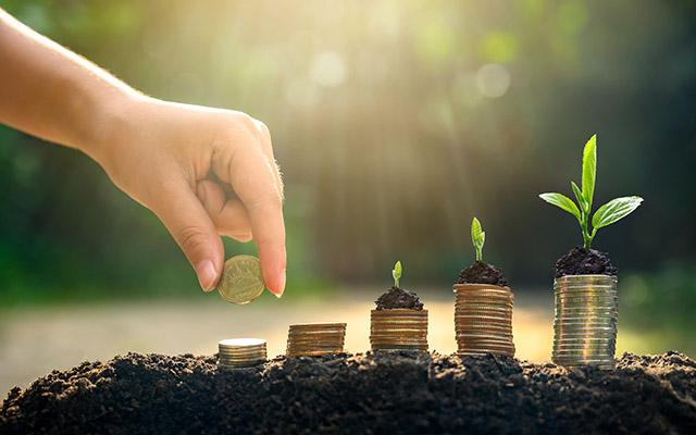 Tax-Free Savings Accounts